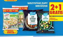 Biedronka Zupy mrożone oferta