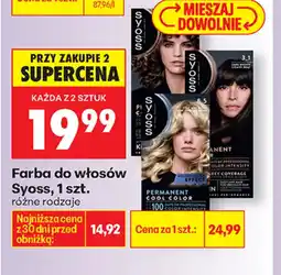 Biedronka Syoss Farba do włosów oferta
