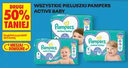 Biedronka Pampers Pieluszki Active Baby oferta
