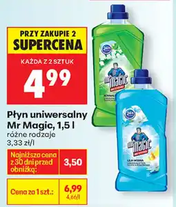 Biedronka Mr Magic płyn uniwersalny oferta