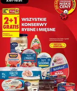 Biedronka Konserwy rybne i mięsne oferta