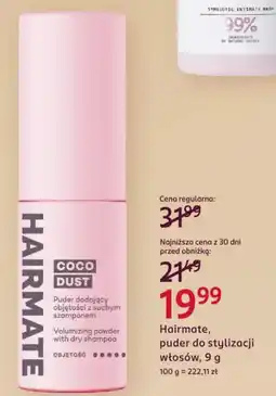Rossmann Hairmate puder do stylizacji włosów oferta