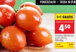 Biedronka Pomidor śliwkowy oferta