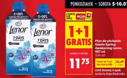 Biedronka Lenor płyn do płukania tkanin oferta