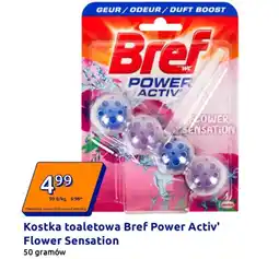 Action Bref Kostka toaletowa Power Activ' oferta