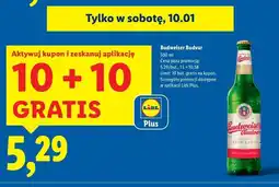 Lidl Piwo Budweiser oferta