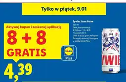 Lidl Piwo Żywiec Jasne Pełne oferta