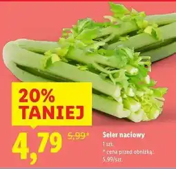 Lidl Seler naciowy oferta