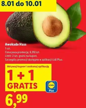 Lidl Awokado hass oferta