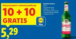 Lidl Budweiser Budvar oferta