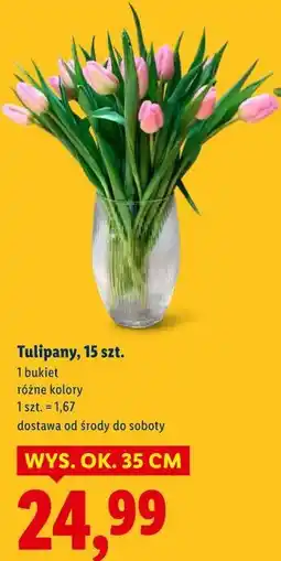 Lidl Tulipany, 15 szt oferta