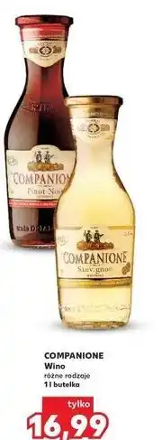 Kaufland Wino Companione Sauvignon oferta