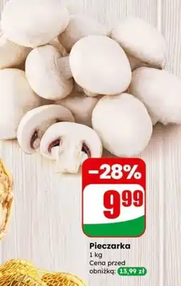 Dino Pieczarka oferta