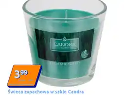 Action Świeca zapachowa Candra oferta