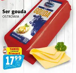 Prim Market Ser gouda Ostrowia oferta