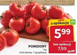 Stokrotka Pomidory oferta