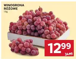 Stokrotka Winogrona różowe oferta