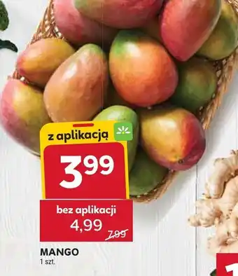 Mango