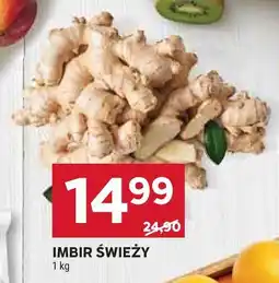 Stokrotka Imbir świeży oferta