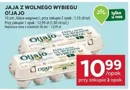 Stokrotka Jaja z wolnego wybiegu Oliajo oferta