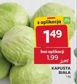 Stokrotka Kapusta biała oferta