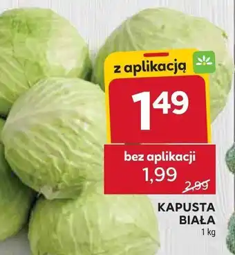 Stokrotka Kapusta biała oferta