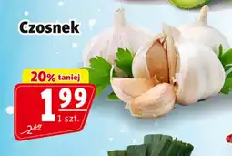 Prim Market Czosnek oferta