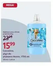 Rossmann Coccolino, płyn do płukania tkanin oferta
