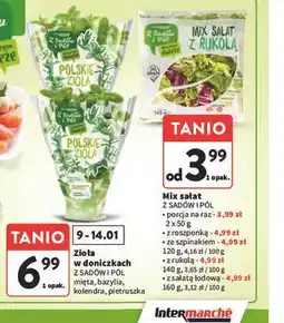 Intermarche Zioła w doniczkach z sadów i pól (mięta, bazylia, kolendra, pietruszka) oferta