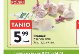 Intermarche Czosnek z sadów i pól oferta