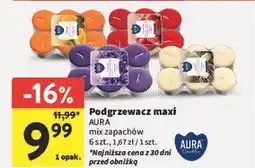 Intermarche Podgrzewacze pomarańczowe Aura Fragrances Candles oferta