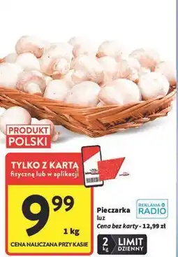 Intermarche Pieczarki oferta