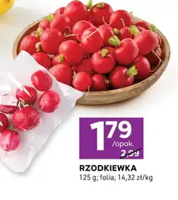Stokrotka Express Rzodkiewka oferta
