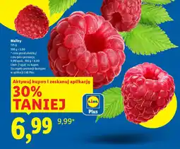 Lidl Maliny oferta