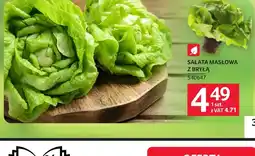 Selgros Sałata masłowa oferta