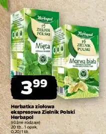 Netto Herbatka morwa biała Herbapol Zielnik Polski oferta