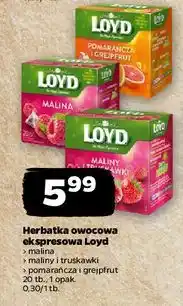 Netto Herbata malina-truskawka Loyd Tea The Magic Experience oferta