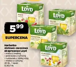 Netto Herbatka melisa z werbeną cytrynową i skórką pomarańczy Loyd Tea The Magic Experience oferta