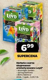 Netto Herbata spring harmony Loyd Tea The Magic Experience oferta