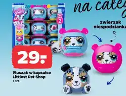 Netto Pluszak w kapsułce Littlest Pet Shop oferta