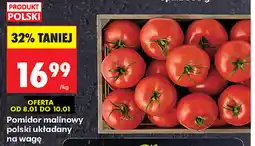 Biedronka Pomidor malinowy polski, cena za oferta