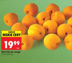 Biedronka Morela na wagę oferta