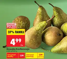 Biedronka Gruszka Konferencja oferta