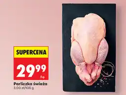 Biedronka Perliczka świeża oferta