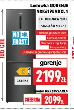 Neopunkt Gorenje Lodówka NRK6192AXL4 oferta