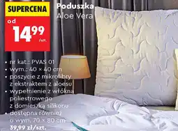 Biedronka Poduszka Aloe Vera oferta