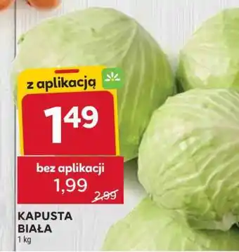 Stokrotka Market Kapusta biała oferta