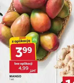 Stokrotka Market Mango oferta