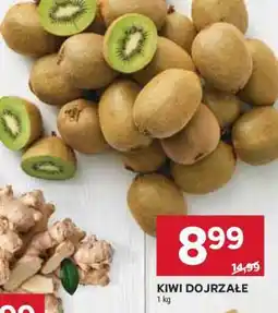 Stokrotka Market KIWI DOJRZAŁE oferta