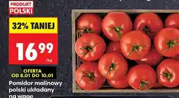 Biedronka Pomidor malinowy polski układany na wagę oferta